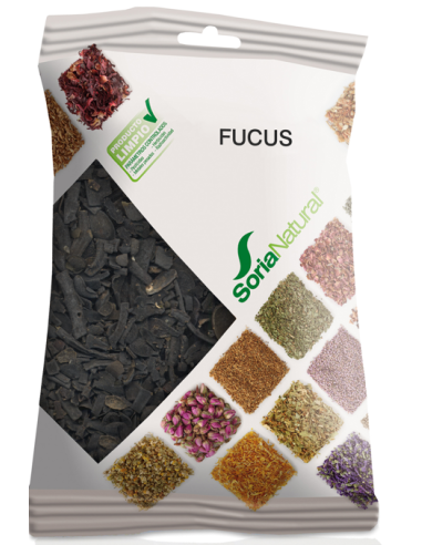 Image-HasTech