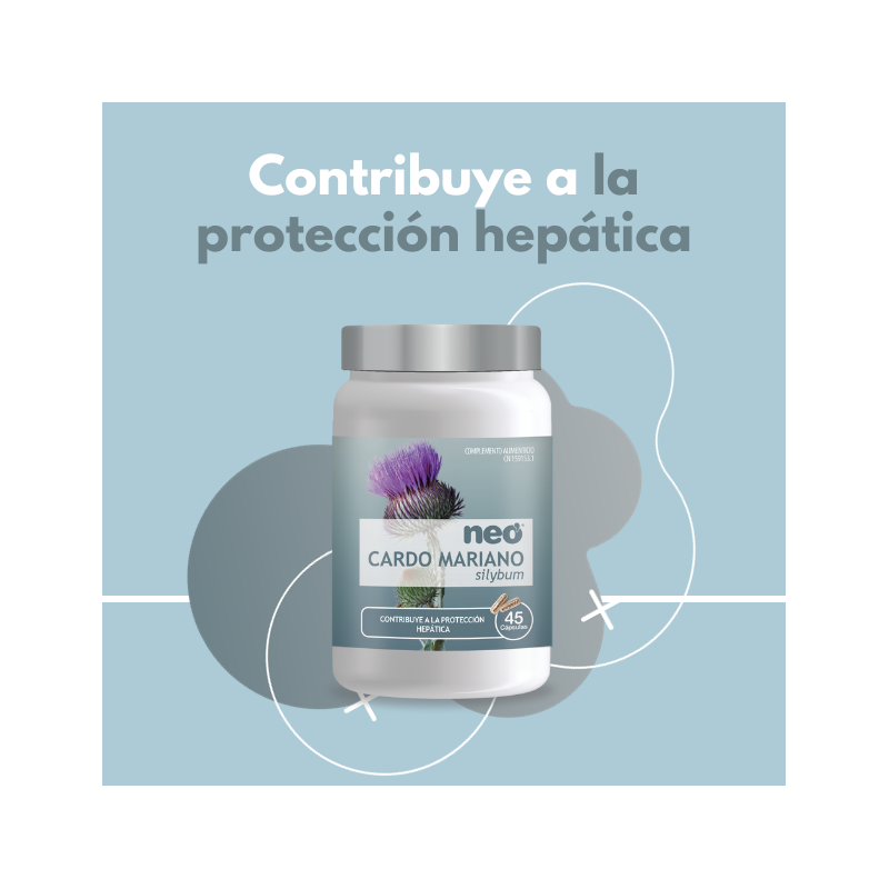 Image-HasTech