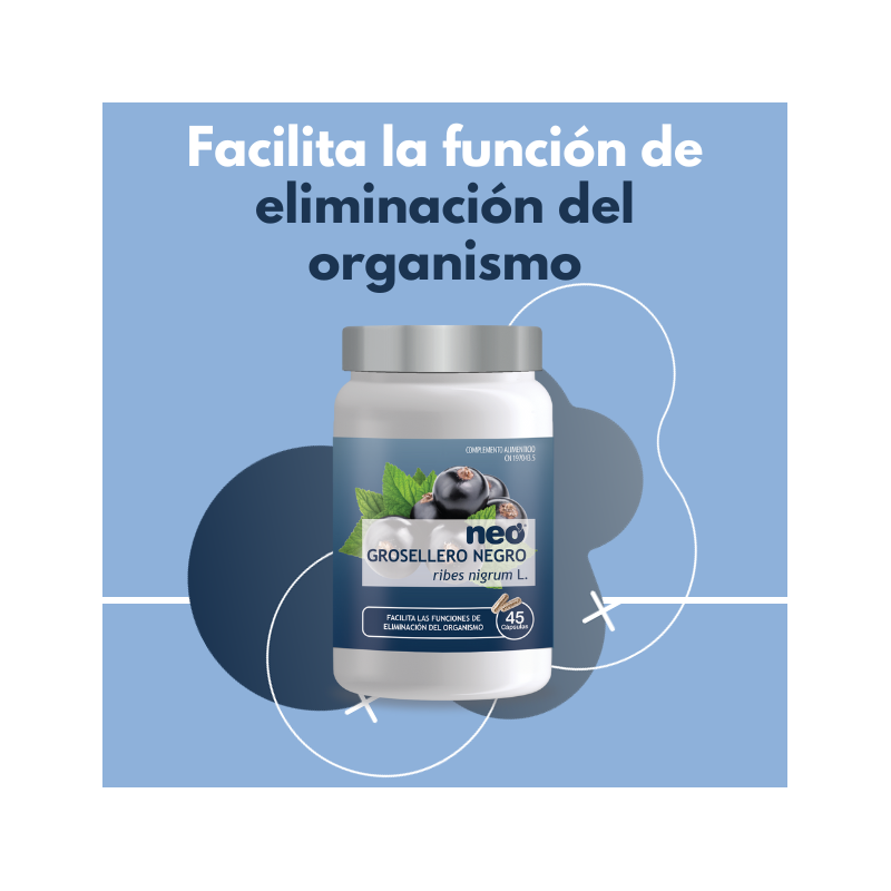 Image-HasTech