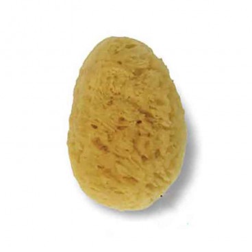Image-HasTech